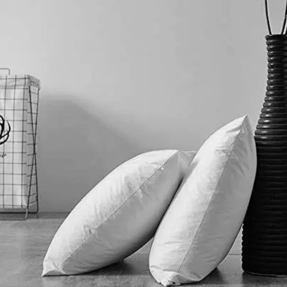 Aniobman Pillow inserts - set of 2- 20" x 20" - Picture 3 of 11